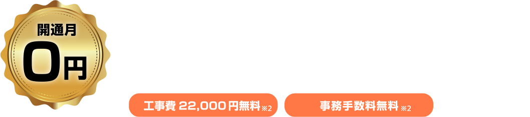 最初の半年990円/月※税込